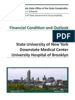 SUNY Downstate Audit