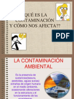 la contaminación ambiental