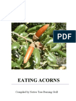 ACORNS FOR EATING