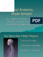 Spinal Anatomy