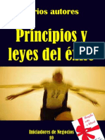 Leyes del Exito