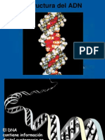 genoma y genes