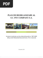 Plan Reorganizare SC PSV Company