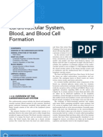 CVS, Blood & Blood Cell formation