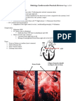 Cardiovascular Pathology