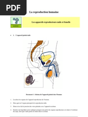 La Reproduction Humaine Contraception Sida