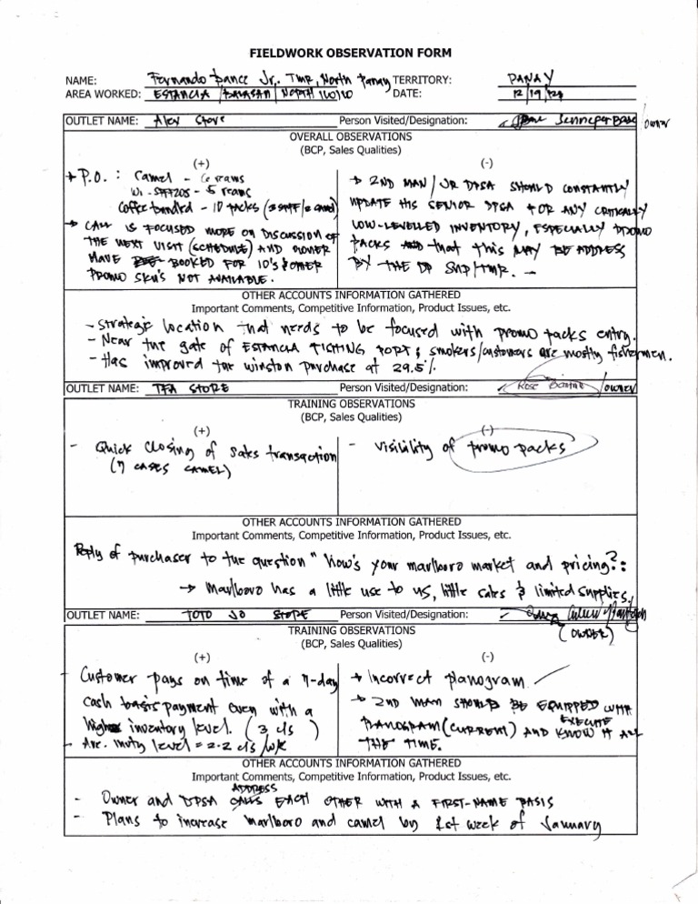 Fieldwork Observation Report Template | PDF
