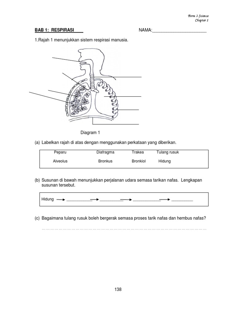 Contoh Soalan Sains Tingkatan 2 Format Pt3 - Kuora a