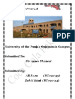 Coca Cola Beverage Private LTD: University of The Punjab Gujranwala Campus