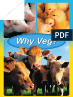 Why Veg 2008