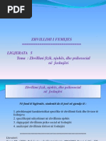 Download ligjerata by Adea Baca SN121265126 doc pdf