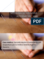 Medicina Veterinaria Alternativa