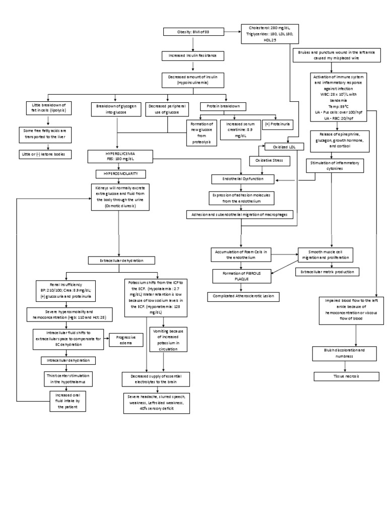 Pathophysiology of DM | PDF | Hyperglycemia | Kidney