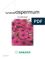 Osteospermum+Culture+Guide