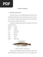 Download Gelatin Tulang ikan by Ardiansyah Ferdinan SN121327813 doc pdf