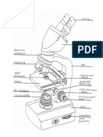 Microscope Drawing Andd Labels