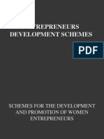 Entrepreneur Scheme