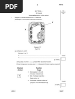 Download cell by azszah SN121346823 doc pdf