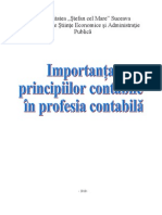 Importanţa Principiilor Contabile În Profesia Contabilă