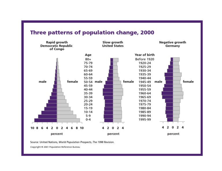 Human Population Patterns | PDF