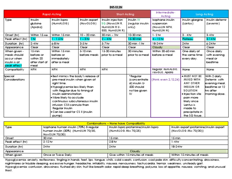 Insulin Chart Insulin Endocrine Pancreas