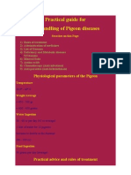 Practical Guide For Pigeon's Diseases