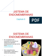 Sistema de Endomembranas