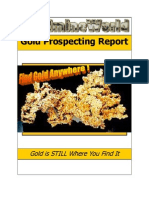 Gold Prospecting