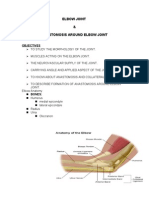 Elbow Joint & Anastomosis Around Elbow Joint: Objectives