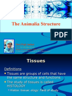 Dwi Puji Astini - The Animalia Structure Presentation