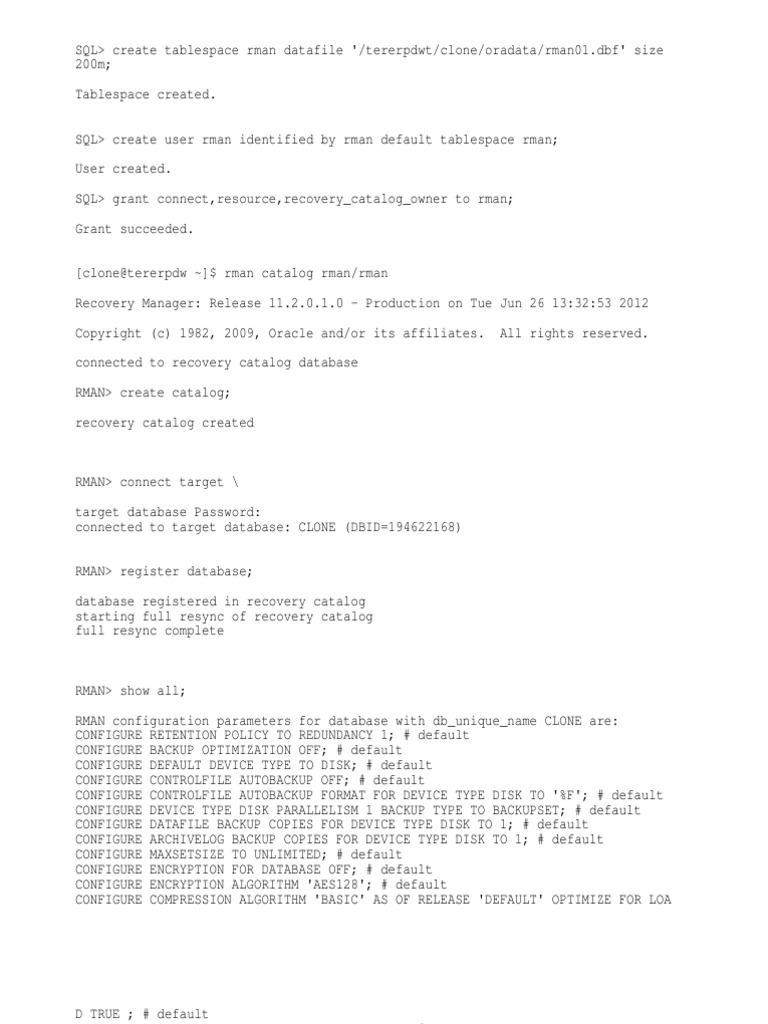 What Is Rman | PDF | Backup | Databases
