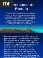 Plante Si Animale Pe Cale De Disparitie Din Romania