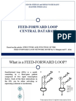Feed Forward Loop