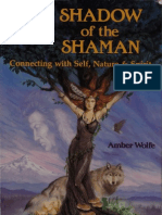 In The Shadow of The Shaman