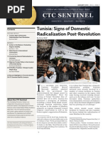 Tunisia's Struggle with Domestic Radicalization