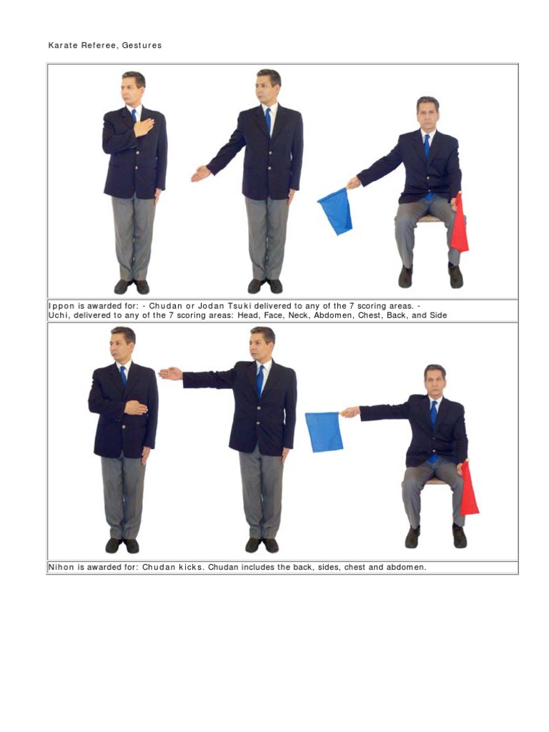 KARATE | PDF | Referee | Hand