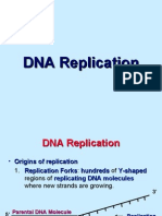 DNA Replication: How DNA Is Copied