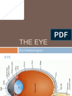 The Eye: Evy Sulistyoningrum