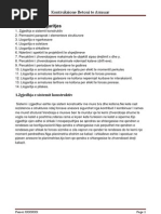 Download Beton 2 by Pune Inxhinieresh SN121616302 doc pdf