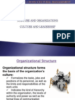 culture and organization