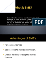 Small and Medium Enterprise or Small and Medium-Sized Enterprise, in Most Economies, Smaller Enterprises