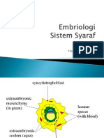 Embriologi Sistem Saraf by Bu ZETI FK UIN