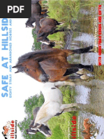 Hillside Animal Sanctuary Newsletter (Autumn/Winter 2012)