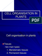 Cell Organisation in Plants