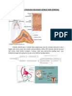 Hipogonad Dan Sindrom Adrenogenital