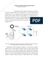 Solarni System S Parabolickym Reflektorem