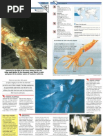 Download Wildlife Fact File - Primitive Animals - Pgs 11-20 by ClearMind84 SN121825908 doc pdf