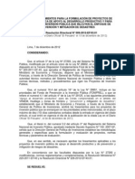 RD 009 Lineamientos PIP Apoyo Productivo y Prevenci de Desastres