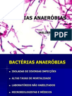 Bactérias Anaeróbias - Slides FMJ