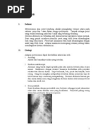 Meteorismus | PDF